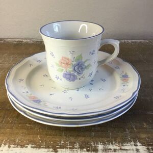 Windsor & Browne Vintage Retro Cottagecore Blue Floral Rose 3 Plate 1 Mug Set